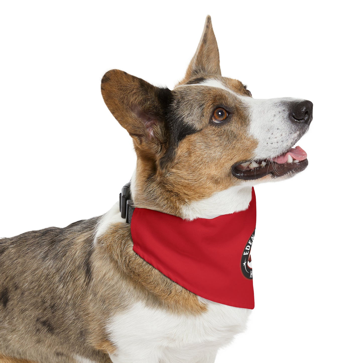 EPHA Pet Bandana Halsband